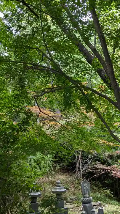 十輪寺(京都府)