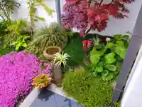 寿量山 速成寺のお墓