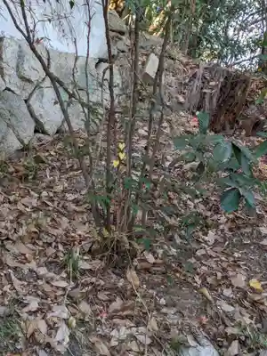 石内のお大師さん　金剛院(広島県)