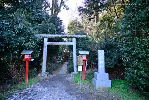 鷲宮神社の鳥居