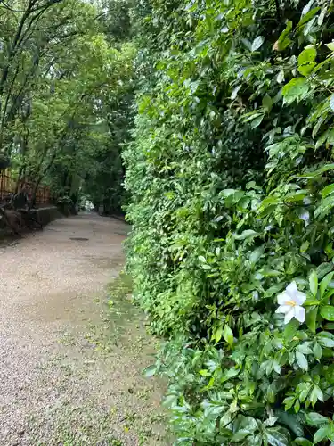 唐招提寺のその他建物