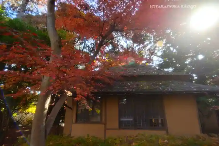 本土寺(千葉県)
