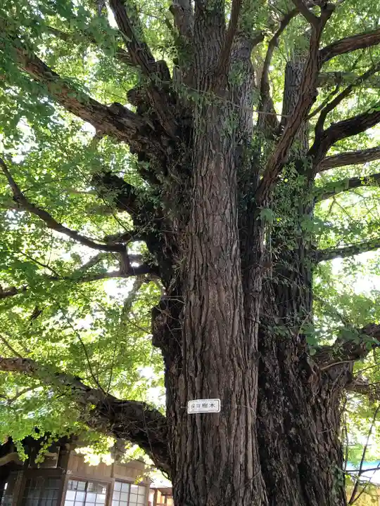 森巌寺(東京都)