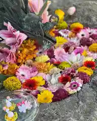 彌都加伎神社の手水