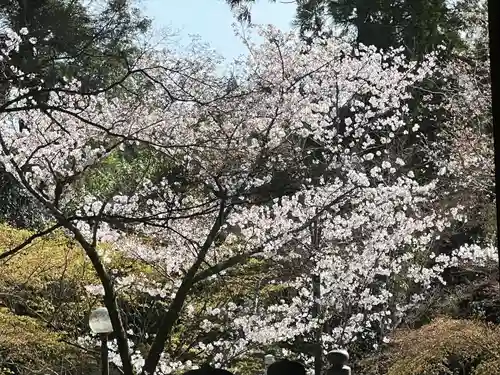 真正極楽寺（真如堂）(京都府)