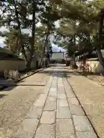 西大寺の{uncategorized: "未分類", other: "その他", undefined: "問題あり", building: "その他建物", grave: "お墓", sacred_gate: "鳥居", guardian: "狛犬", statue: "像", buddha: "仏像", history: "歴史", nature: "自然", garden: "庭園", animal: "動物", pagoda: "塔", temizu: "手水舎", mountain_gate: "山門・神門", sanctuary: "本殿・本堂", subordinate: "末社・摂社", art: "芸術", scenery: "景色", jizo: "地蔵", ema: "絵馬", goshuin: "御朱印", omikuji: "おみくじ", items: "授与品その他", amulet: "お守り", goshuincho: "御朱印帳", eats: "食事", festival: "お祭り", votive_dance: "神楽", shichigosan: "七五三参", wedding: "結婚式", experience: "体験その他", initially: "初詣", around: "周辺", anti_infection: "感染症対策"}