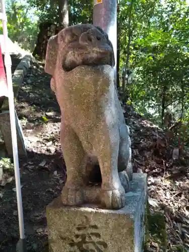 金刀比羅神社の狛犬