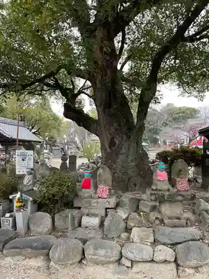 甚目寺(愛知県)