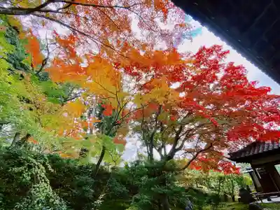 榮攝院（栄摂院）(京都府)
