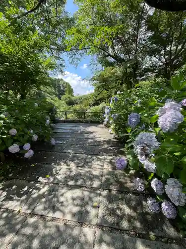 矢田寺(奈良県)