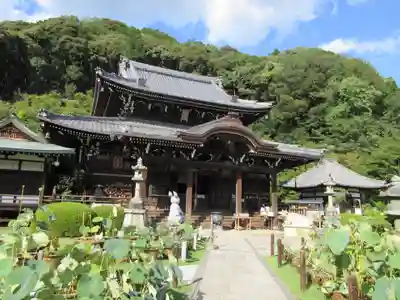 三室戸寺の本殿・本堂