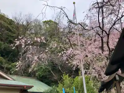 根岸八幡神社の{uncategorized: "未分類", other: "その他", undefined: "問題あり", building: "その他建物", grave: "お墓", sacred_gate: "鳥居", guardian: "狛犬", statue: "像", buddha: "仏像", history: "歴史", nature: "自然", garden: "庭園", animal: "動物", pagoda: "塔", temizu: "手水舎", mountain_gate: "山門・神門", sanctuary: "本殿・本堂", subordinate: "末社・摂社", art: "芸術", scenery: "景色", jizo: "地蔵", ema: "絵馬", goshuin: "御朱印", omikuji: "おみくじ", items: "授与品その他", amulet: "お守り", goshuincho: "御朱印帳", eats: "食事", festival: "お祭り", votive_dance: "神楽", shichigosan: "七五三参", wedding: "結婚式", experience: "体験その他", initially: "初詣", around: "周辺", anti_infection: "感染症対策"}