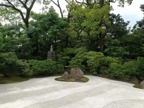 建仁寺（建仁禅寺）の庭園