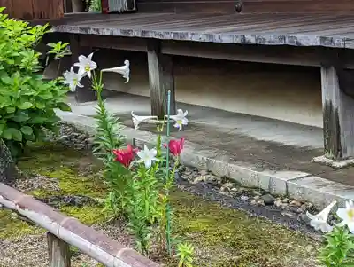 法金剛院(京都府)