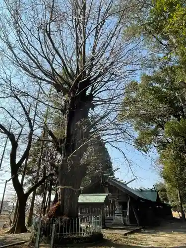 鞆江神社（明地）(愛知県)