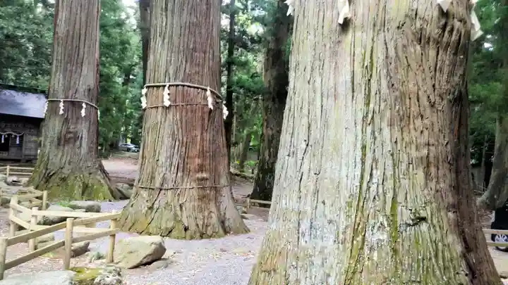 河口浅間神社(山梨県)