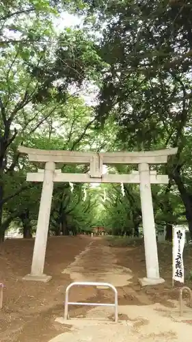 東蕗田天満社の鳥居