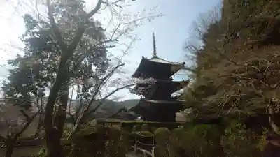 園城寺（三井寺）(滋賀県)