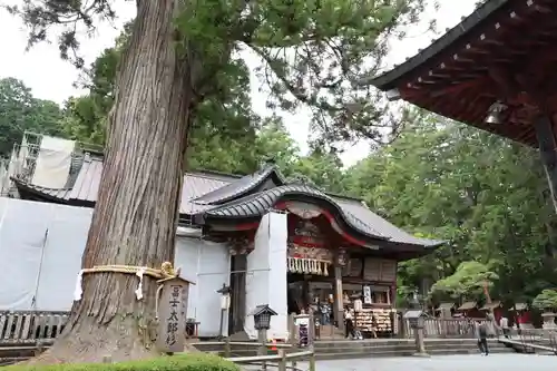 北口本宮冨士浅間神社(山梨県)