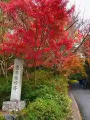 曼殊院門跡(京都府)