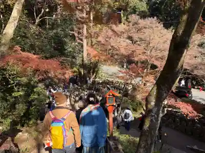 愛宕念仏寺(京都府)