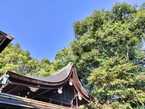 離宮八幡宮(京都府)