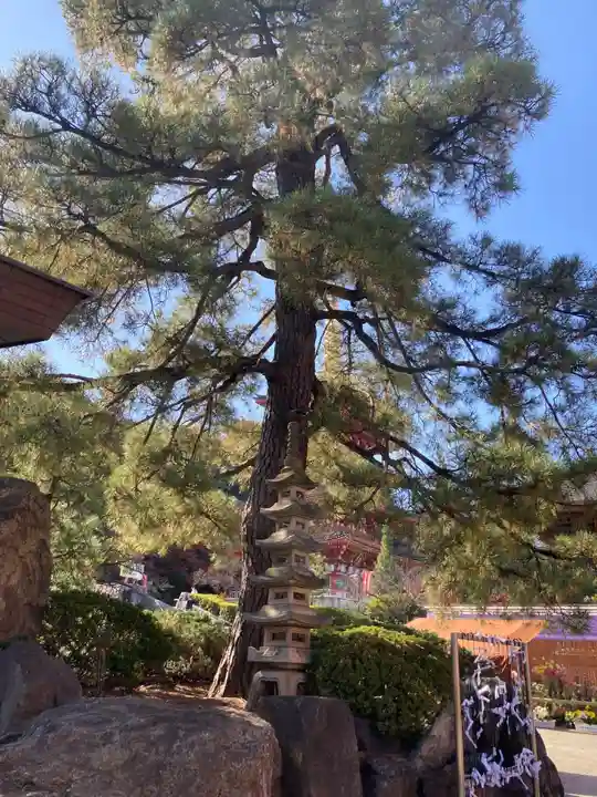 高幡不動尊 金剛寺(東京都)