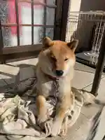 鶴峯八幡宮(千葉県)