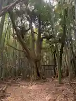星神社(千葉県)