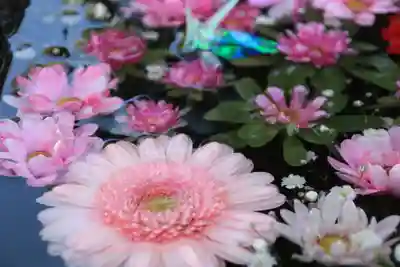 大鏑神社の手水舎