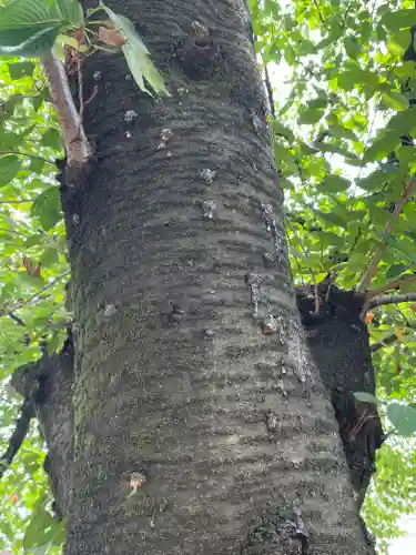 八坂神社(大阪府)