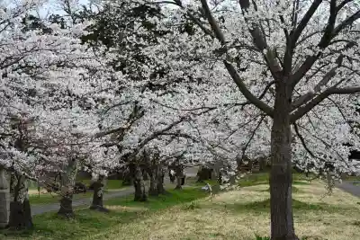 蒼柴神社(新潟県)
