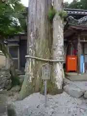 鳴谷神社の自然