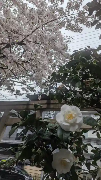 菅大臣神社(京都府)