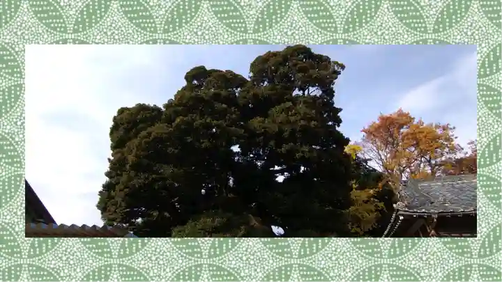 九重神社(埼玉県)