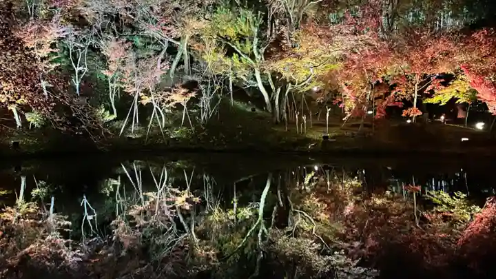高台寺(高台寿聖禅寺・高臺寺)の自然
