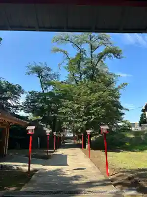 菅原神社(東京都)