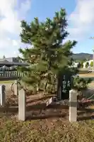 伊勢久留麻神社の自然