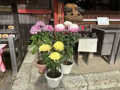 鶴峯八幡宮(千葉県)