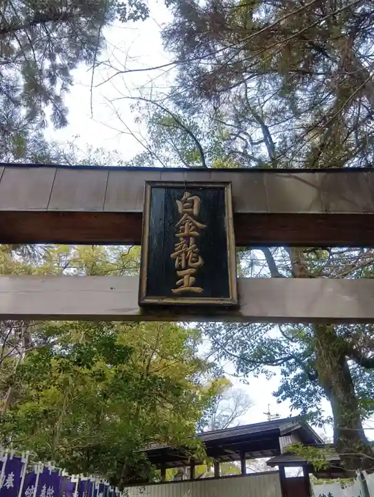 白金龍王社(愛知県)