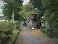 花石神社の自然