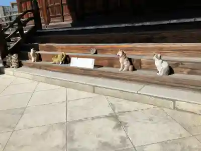 證願寺の{uncategorized: "未分類", other: "その他", undefined: "問題あり", building: "その他建物", grave: "お墓", sacred_gate: "鳥居", guardian: "狛犬", statue: "像", buddha: "仏像", history: "歴史", nature: "自然", garden: "庭園", animal: "動物", pagoda: "塔", temizu: "手水舎", mountain_gate: "山門・神門", sanctuary: "本殿・本堂", subordinate: "末社・摂社", art: "芸術", scenery: "景色", jizo: "地蔵", ema: "絵馬", goshuin: "御朱印", omikuji: "おみくじ", items: "授与品その他", amulet: "お守り", goshuincho: "御朱印帳", eats: "食事", festival: "お祭り", votive_dance: "神楽", shichigosan: "七五三参", wedding: "結婚式", experience: "体験その他", initially: "初詣", around: "周辺", anti_infection: "感染症対策"}