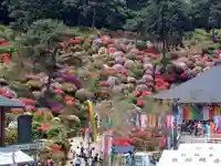 塩船観音寺(東京都)
