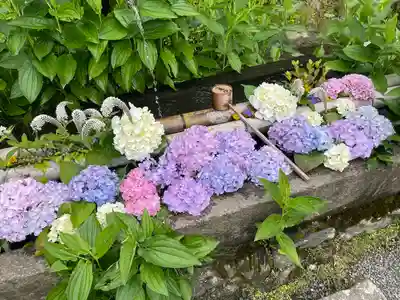 二尊院(京都府)