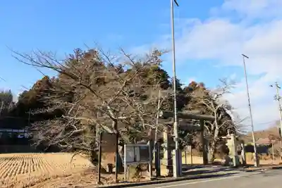 鹿島大神宮の鳥居