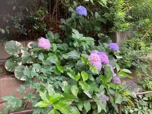 松嶺院(神奈川県)