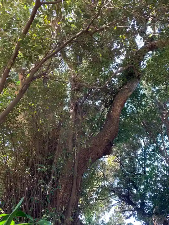 波切不動尊の自然