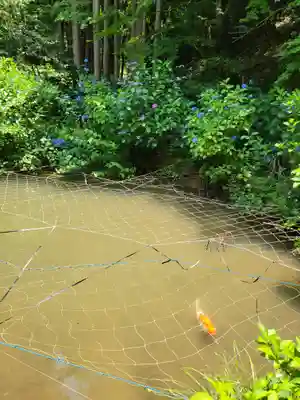 観音寺(京都府)