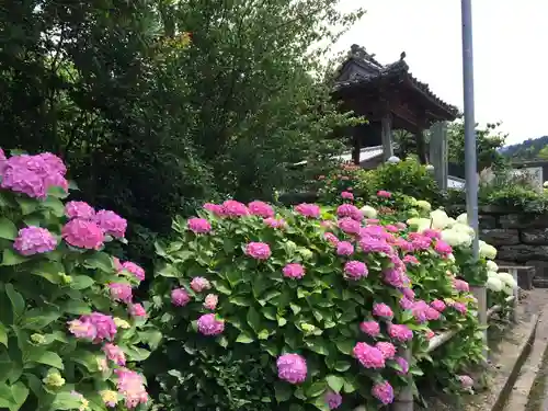 千光寺(福岡県)