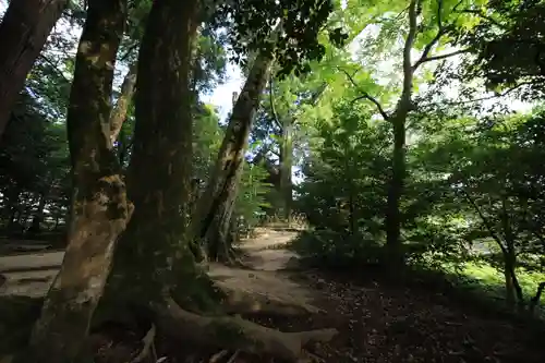 須佐神社の自然